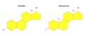 Estradiol and Testosteron: Structural formulas.